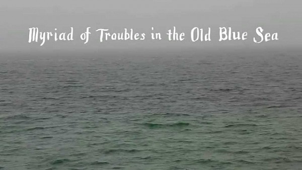 Tom Rosenthal - Myriad of Troubles in the Old Blue Sea